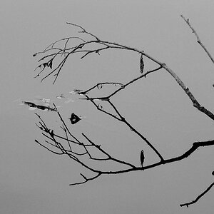 Tristesse 02