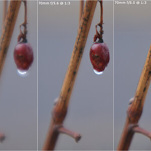 70 160 Macro