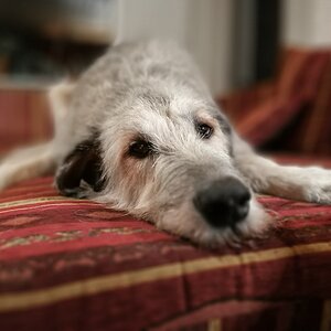 IMG 20170201 193513 1c