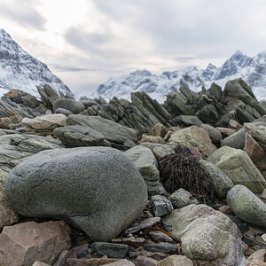 2017 Lofoten Reisebericht 37