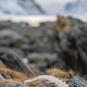 2017 Lofoten Reisebericht 39