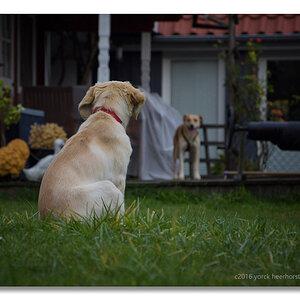 20161014 0114 Brexit Maggie