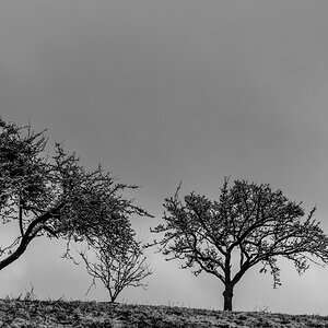 DSC 0940x
