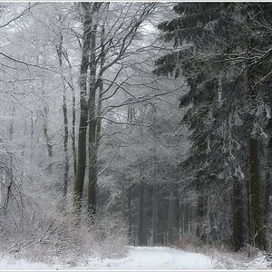 wintertraum01