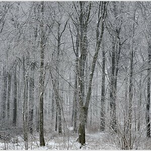 wintertraum02