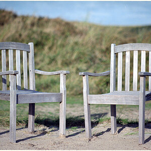 Texel, ca. 2014, Nikon F5 mit 50 1.4