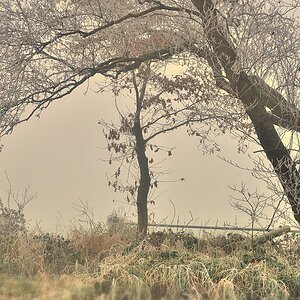 Nebelbilder 1