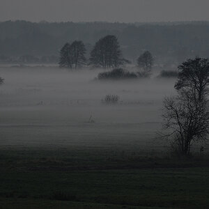 Bodennebel