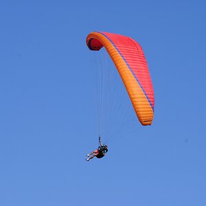 Zoutelande 2 (243)