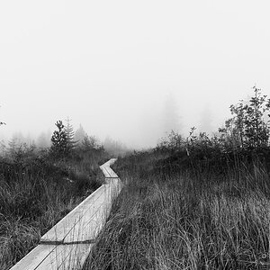Zum Zwergenwald