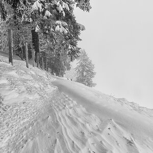 Schneeverwehungen