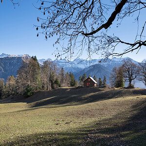 IMG9785