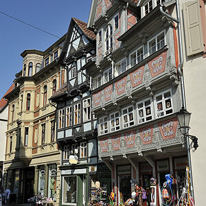 DSC2614