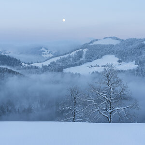 IMG9190 01