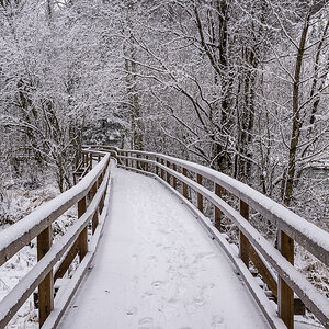 Winterweg an der Enns