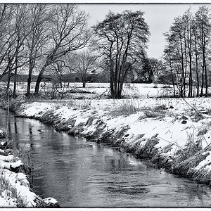 Winter Aue 3