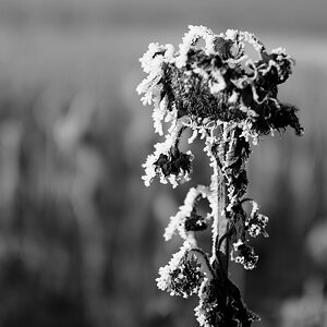 DSCF0051
