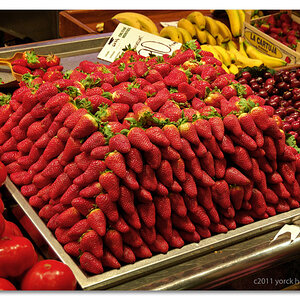 20110226 0022 Mallorca