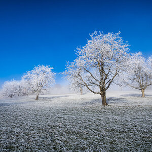 AMG0159 01