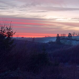 der Morgen NIK