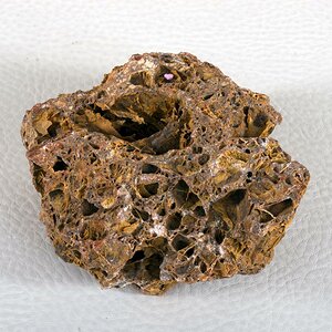 DSC 5694
