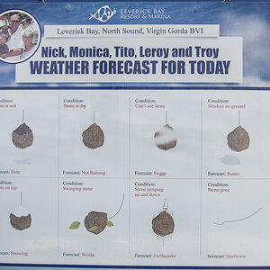 Stone forecast