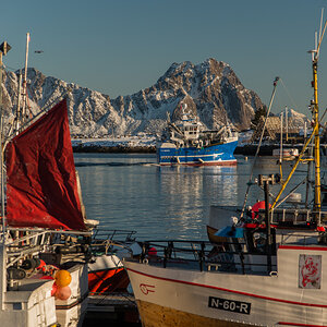 2017 Lofoten Reisebericht 185