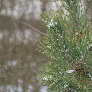 [No title]