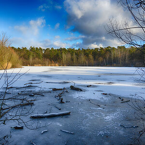 waldsee kaefertal K