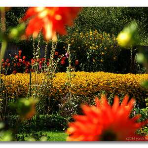 20140902 0148 Nolde Seebüll