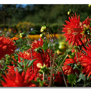 20140902 0111 Nolde Seebüll