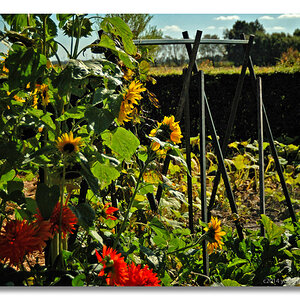 20140902 0105 Nolde Seebüll