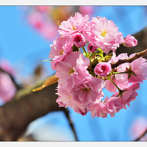 20170403 DSC 2647