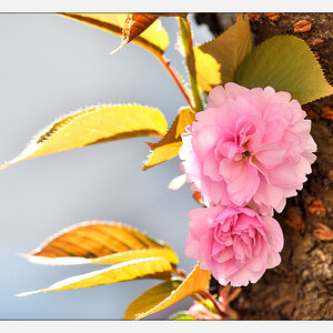 20170403 DSC 2675