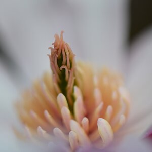DSC 4174 01