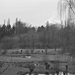 Landschaft sw
