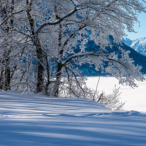 verschneiter Sylvensteinsee