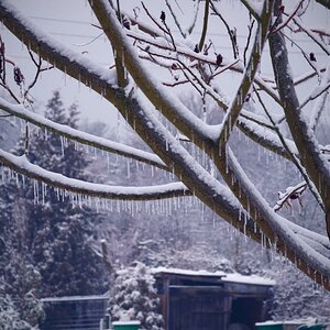 Winter mood