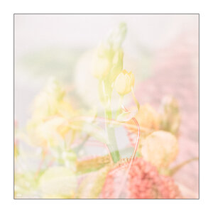 10/52