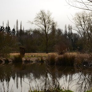 Landschaft