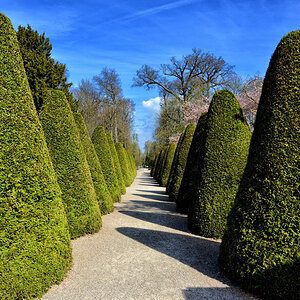 Schwetzingen buchs allee