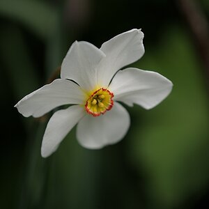 (C)K.R. DSC 2259