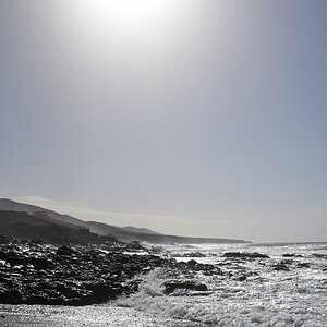 DSC 5468a