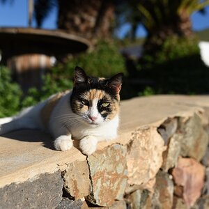 DSC 5829a
