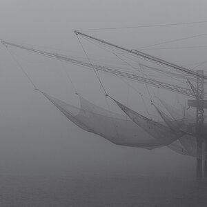 Foggy Day
