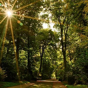 Abendsonne
