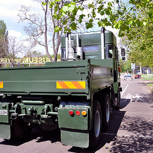 Scammel [DSC_1758]