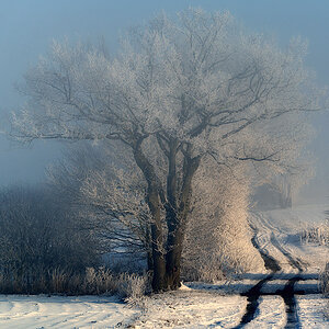 Feldweg im Winter 3