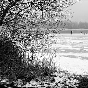 comp DSC09655 SW