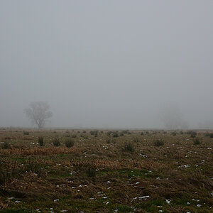 810 8154fks20p1f